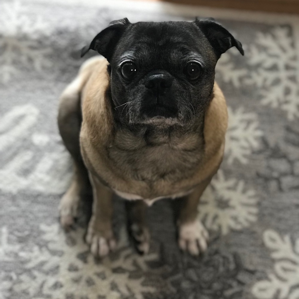 Meet your Posher, Jill